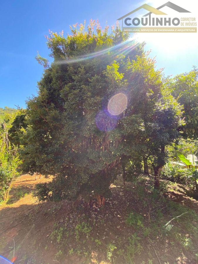 WhatsApp Image 2025-04-08 at 14.20.39.jpeg